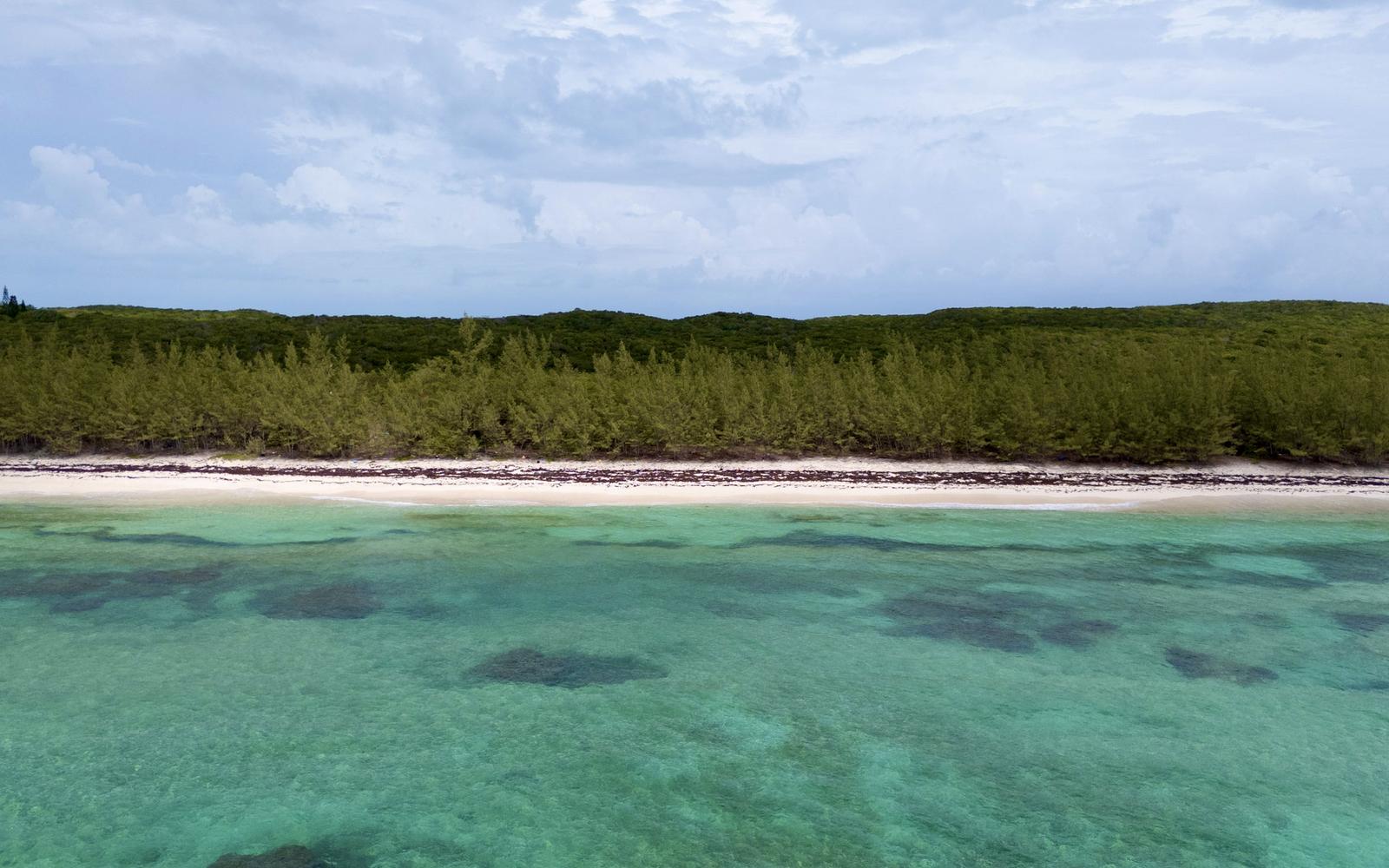 Untouched Atlantic Beach, 25 Acres - MLS 67128 — photo 4