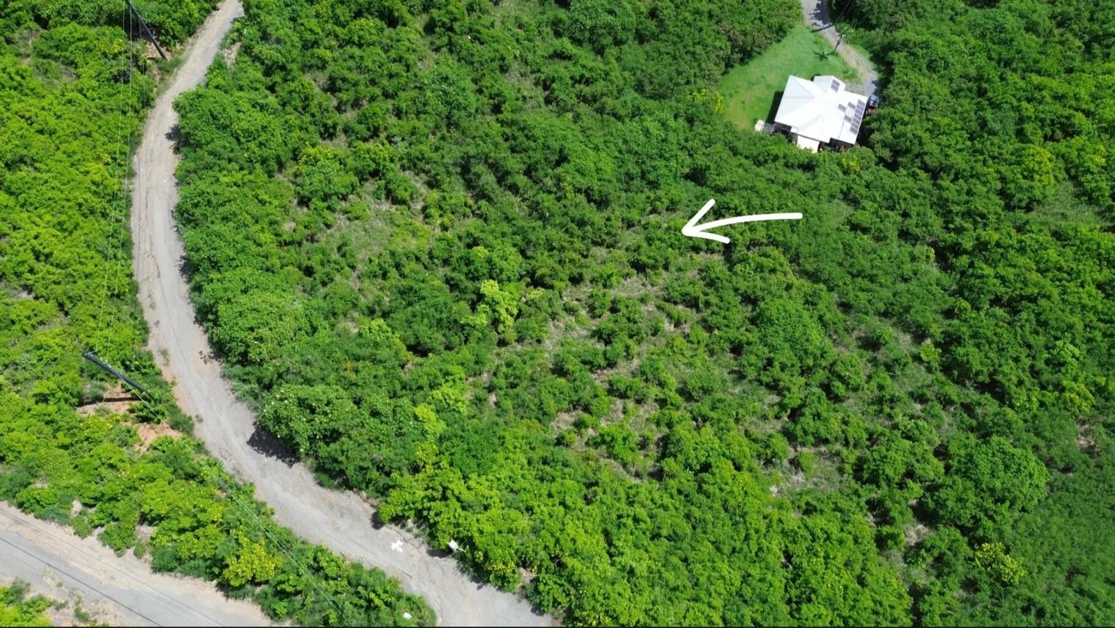 0.58 Acre Homesite with Ocean Views in St. Croix — photo 5