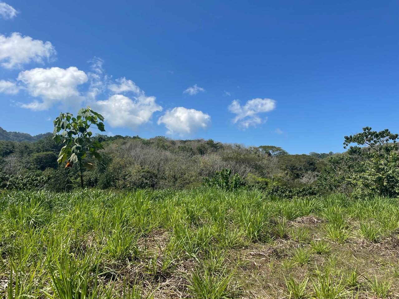 8,722 Sq M Lot for Sale, Cabuya, Santa Teresa, Puntarenas, Costa Rica — photo 5