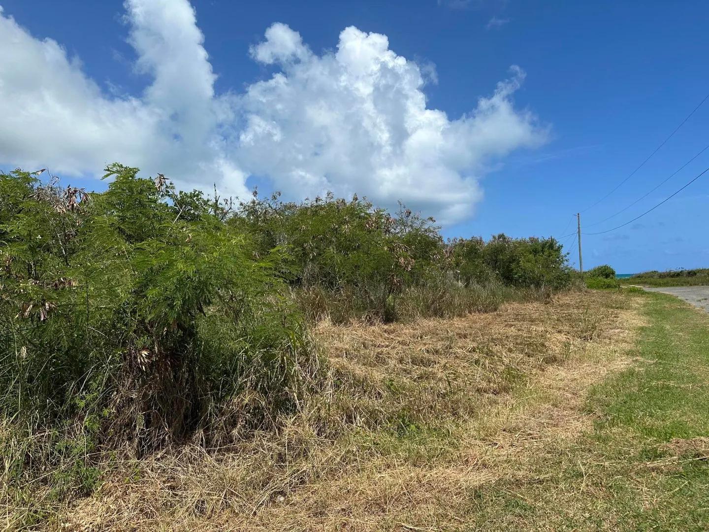 Homesite at 95 Enfield Green Pr, St. Croix — photo 3