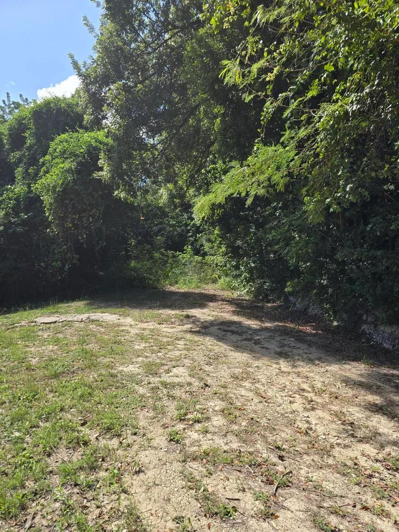 0.49 Acre Homesite Lot Bellevue Co — photo 5