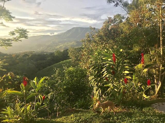 3 Bedroom Home for Sale in Platanillo, Costa Rica — photo 3