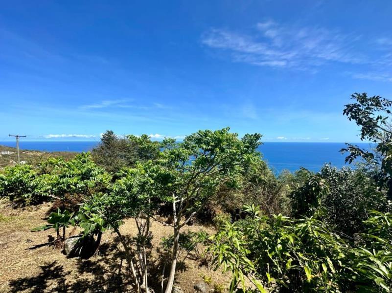 5-bedroom house in Fahie Hill, Tortola with ocean view — photo 4