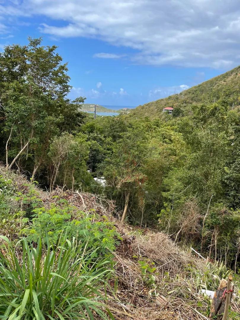 0.32 Acre Lot in Fish Bay, St John Island — photo 2