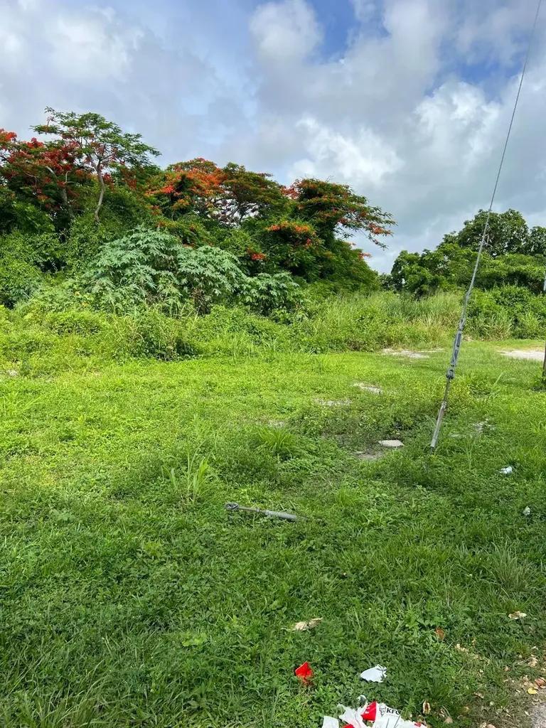 Residential land lot in Oakes Field — photo 2