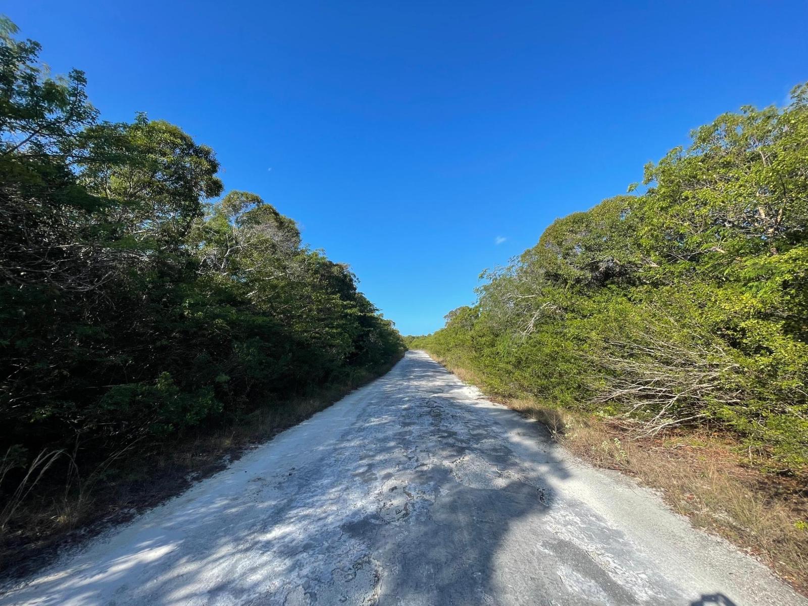 Bahama Sound Land in Exuma, The Bahamas — photo 4