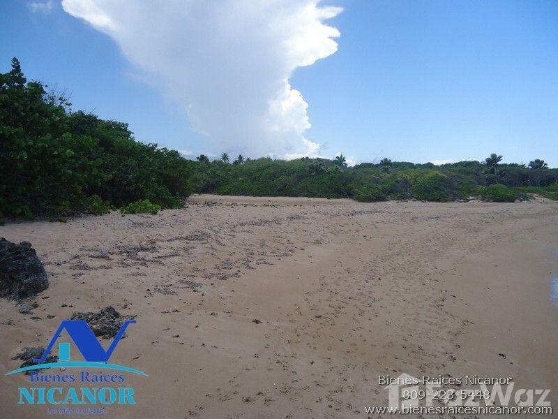 452,500 m2 beachfront land for sale — photo 3