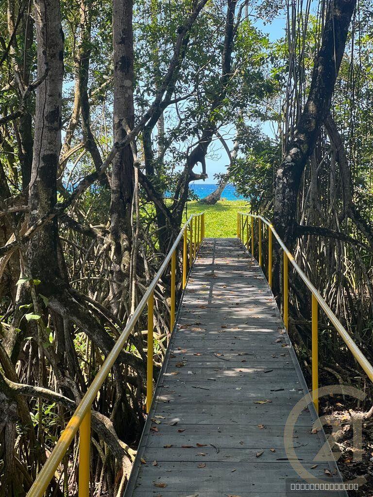 Beachfront Lots for sale in Las Canas, Gaspar Hernández — photo 5