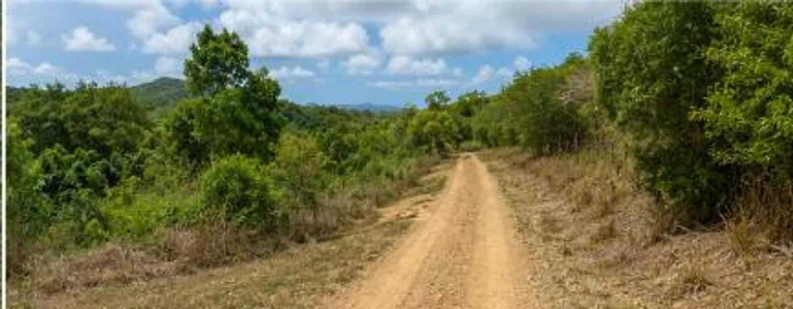0.46 Acre Homesite Lot in Christiansted — photo 4