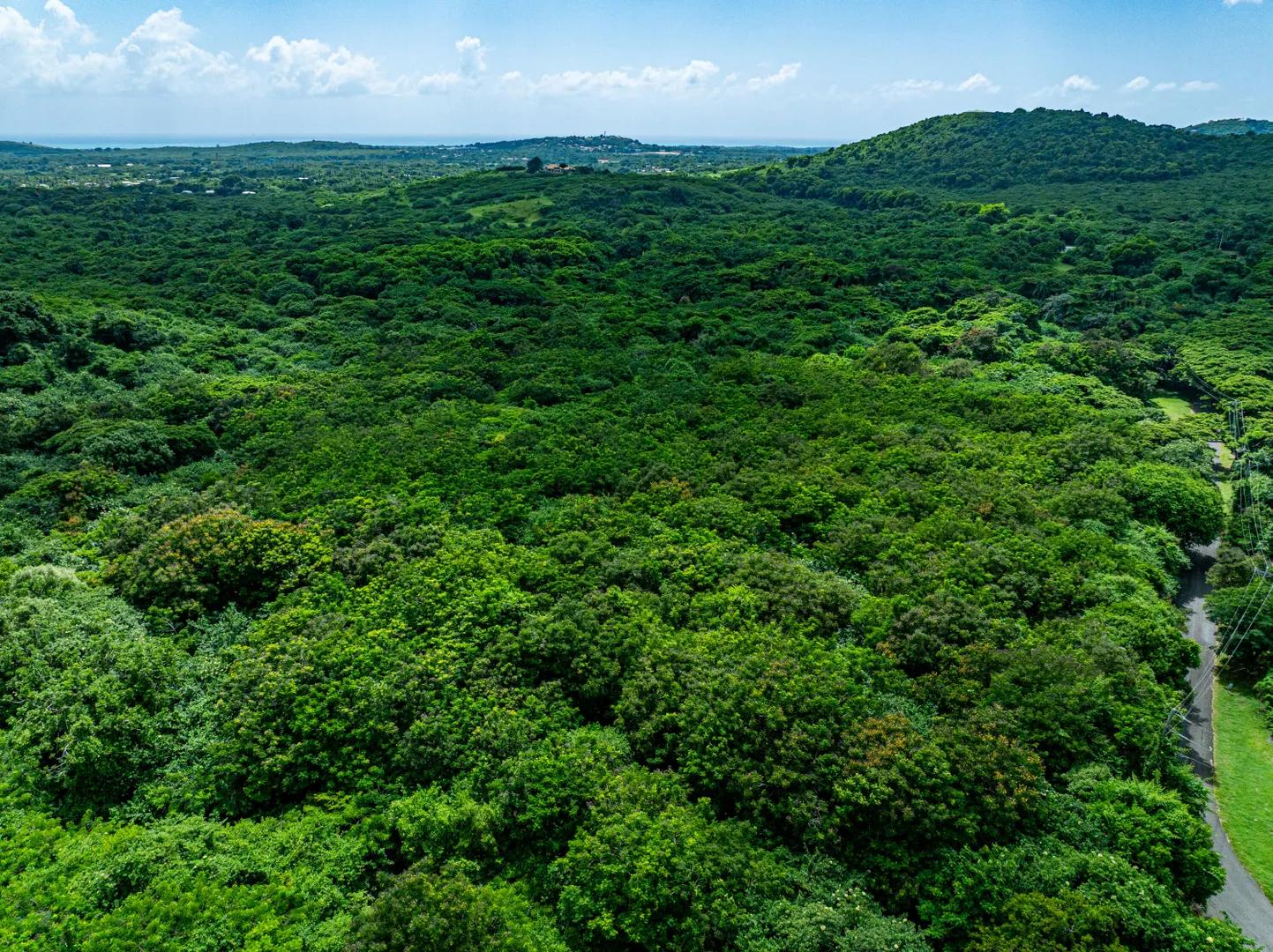24.47 Acre Business Zoned Lot across from Carambola Golf Course — photo 1