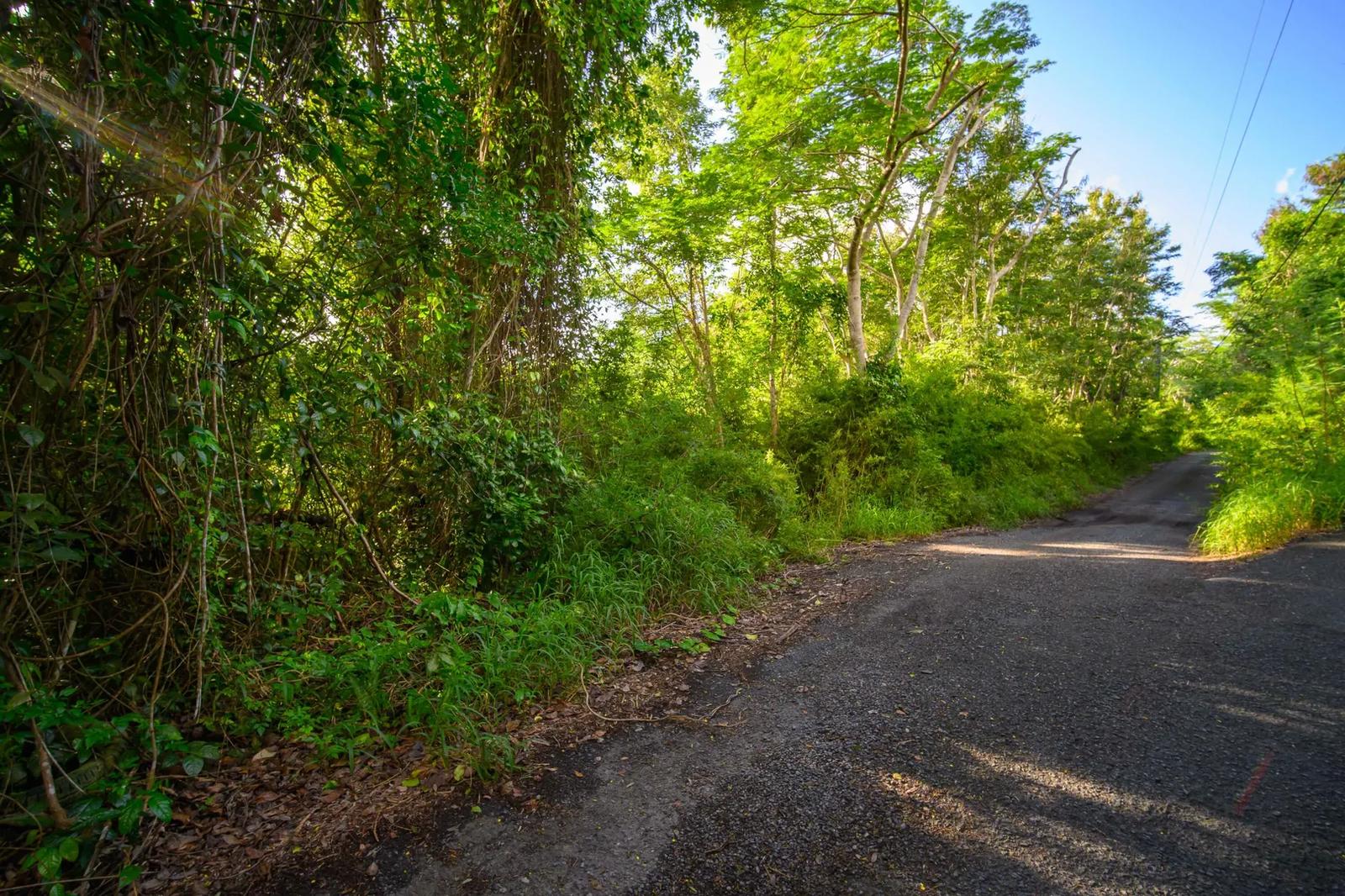 0.51 Acre Homesite Lot in St. Croix — photo 2