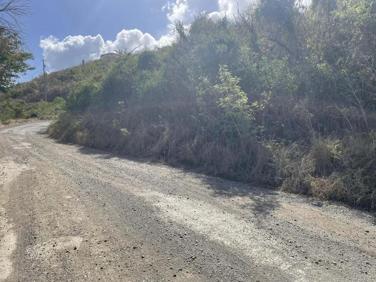 0.72 Acre Homesite in La Grange, St. Croix — photo 2