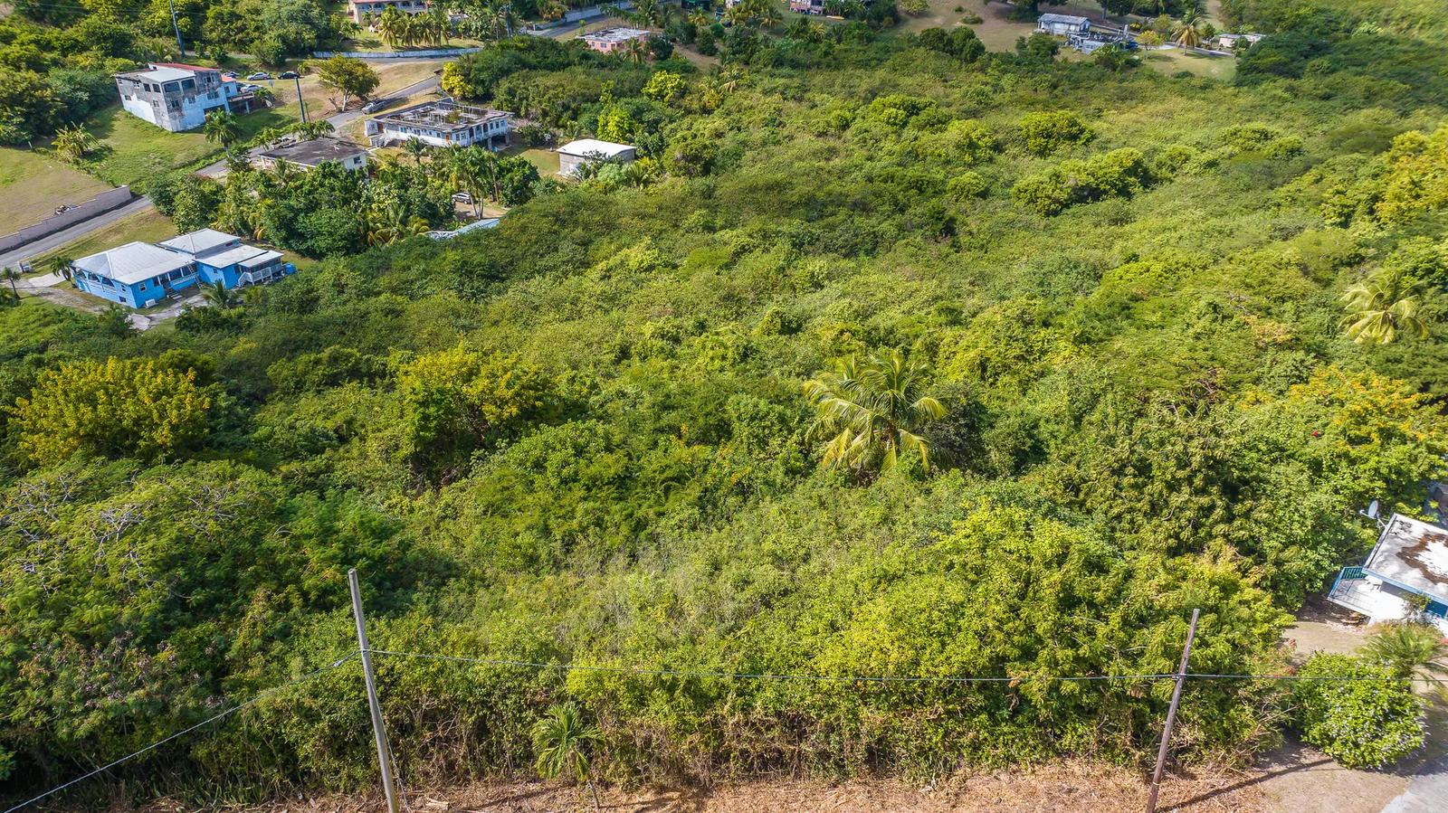 0.5 Acre Homesite Lot — photo 2