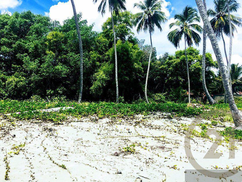 Beachfront Lots for sale in Las Canas, Gaspar Hernández — photo 3