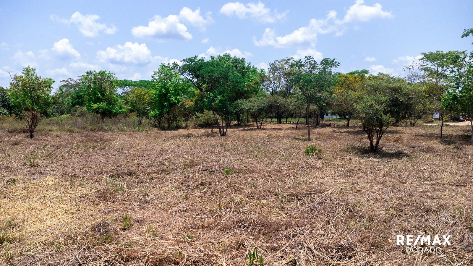 4 oversized lots near riverfront community — photo 2