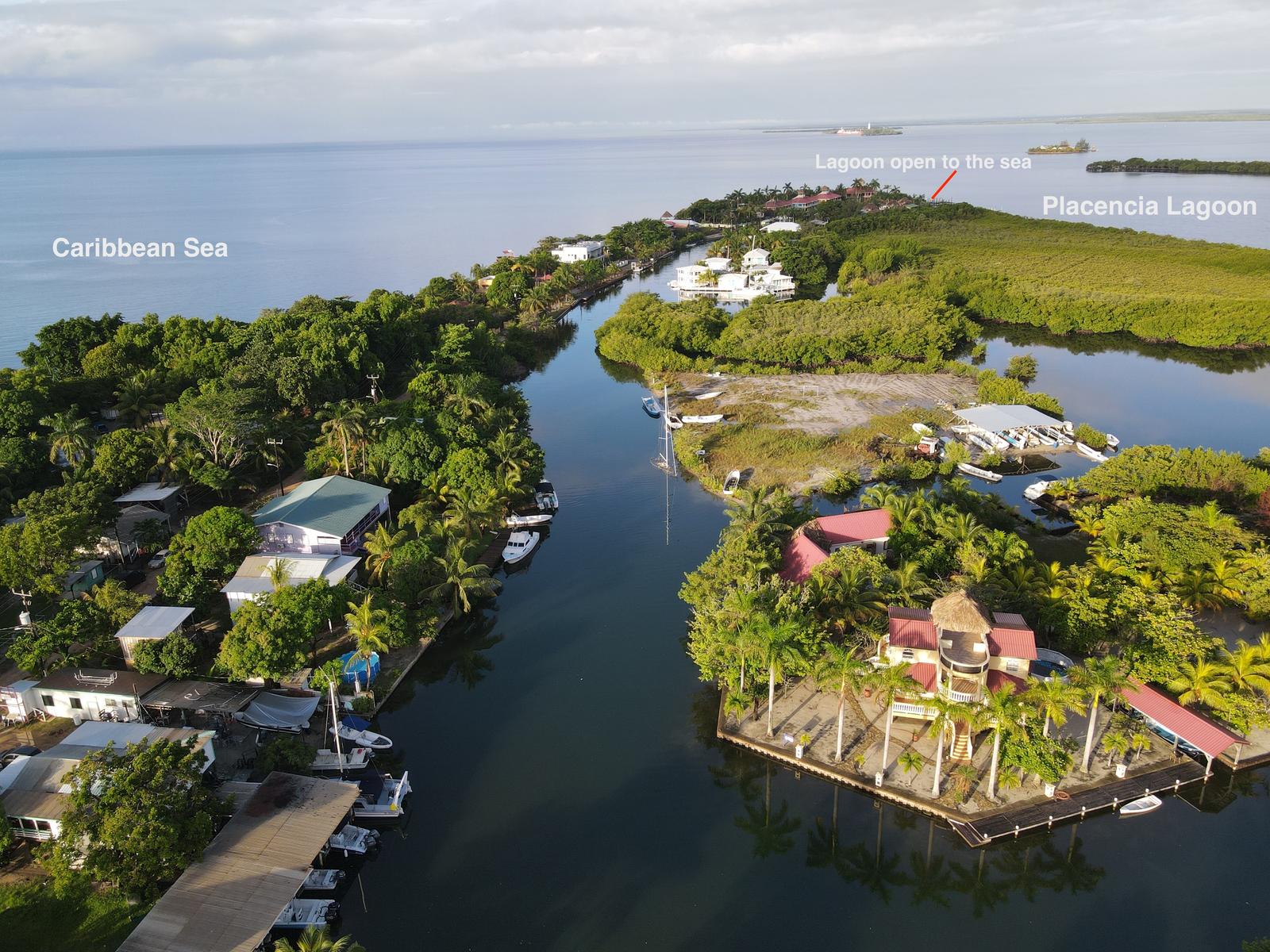 Island Living within the Village — photo 5
