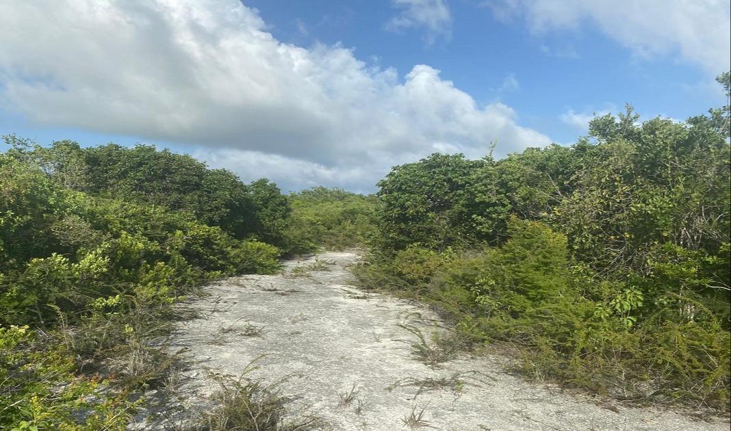 Vacant Land for sale - Lot 9, Columbus Landing 4 — photo 2