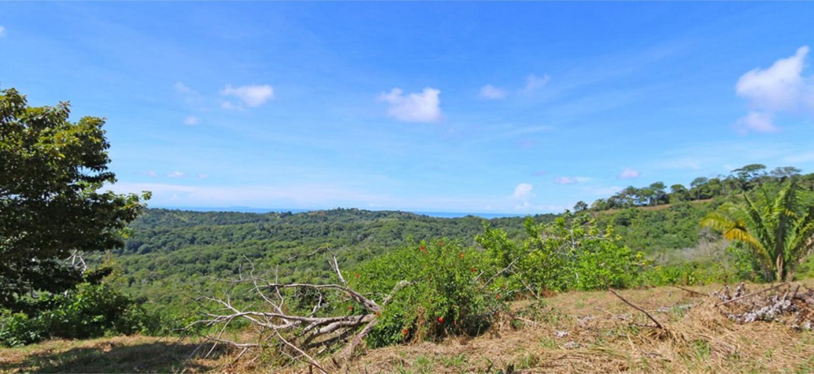 150 Acres of Land for Sale, Ojochal, Puntarenas, Costa Rica — photo 3