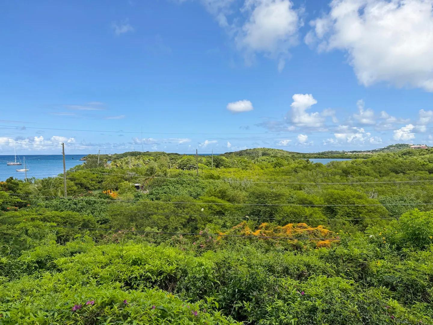 146 Mt. Welcome Ea — photo 4