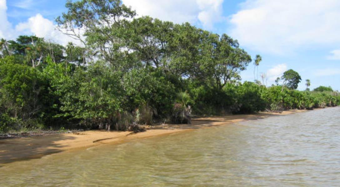 Beachfront land, 100 acres at Colson Point, Dangriga — photo 1