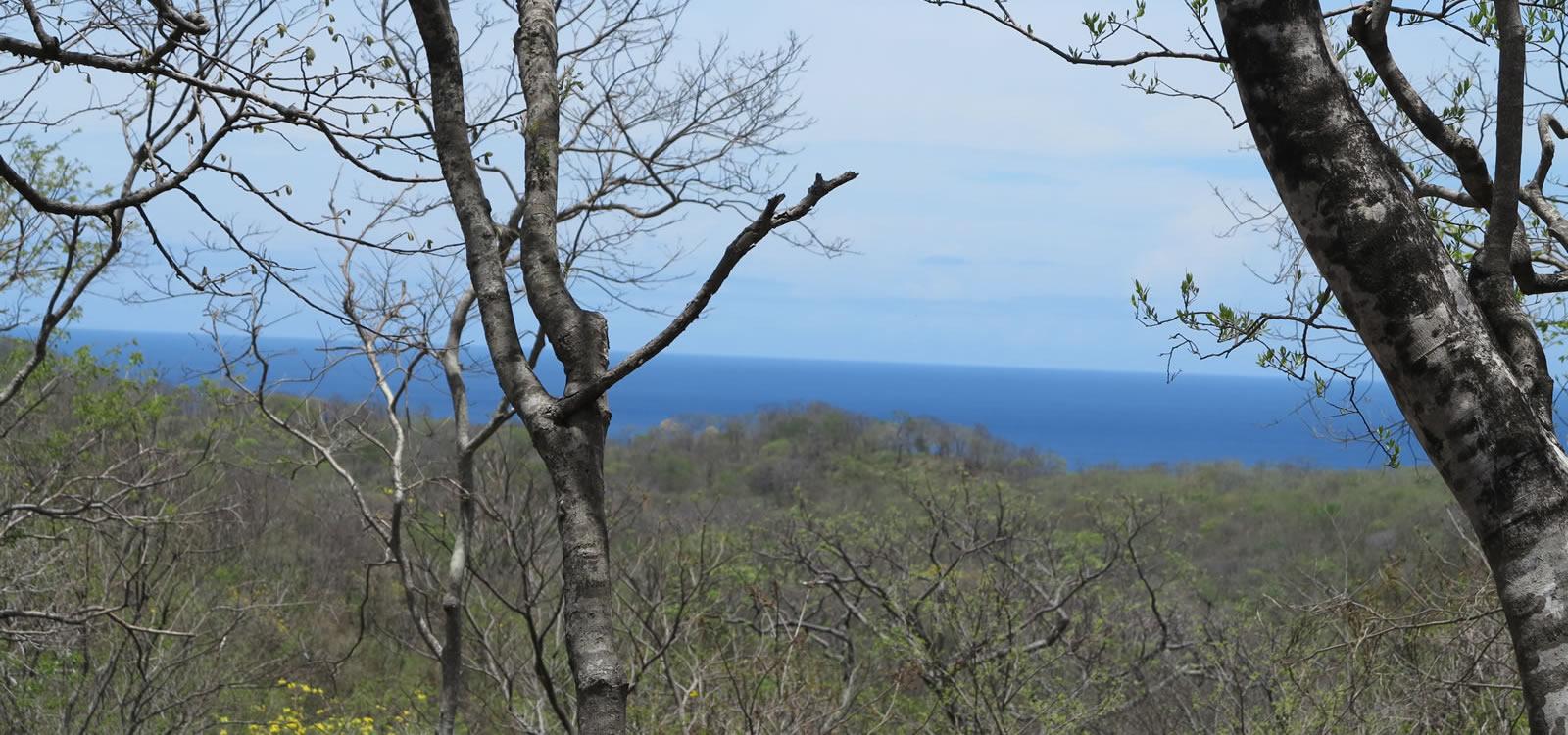 0.89 Acre Lot of Land for Sale in Rancho Santana, Nicaragua — photo 2