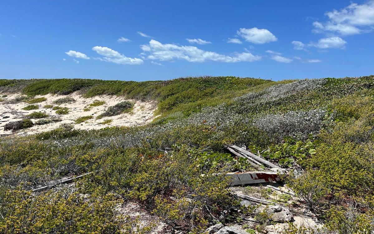 150-acre beachfront development land in Roses, Long Island, Bahamas — photo 2
