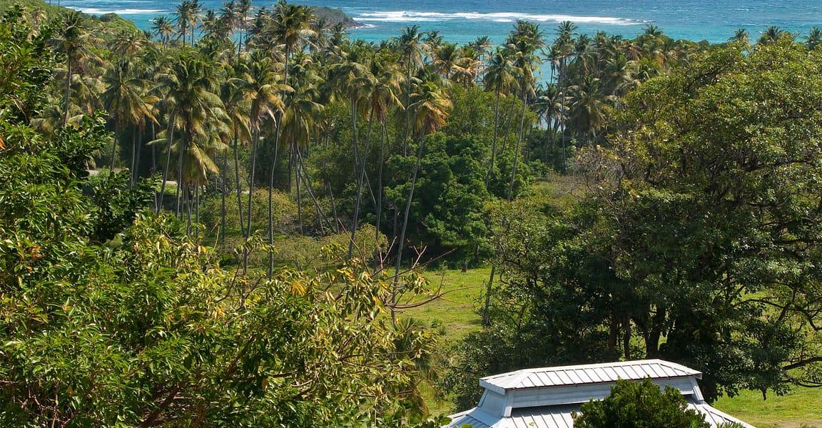 12.4-acre boutique hotel in Spring Estate, Bequia — photo 2