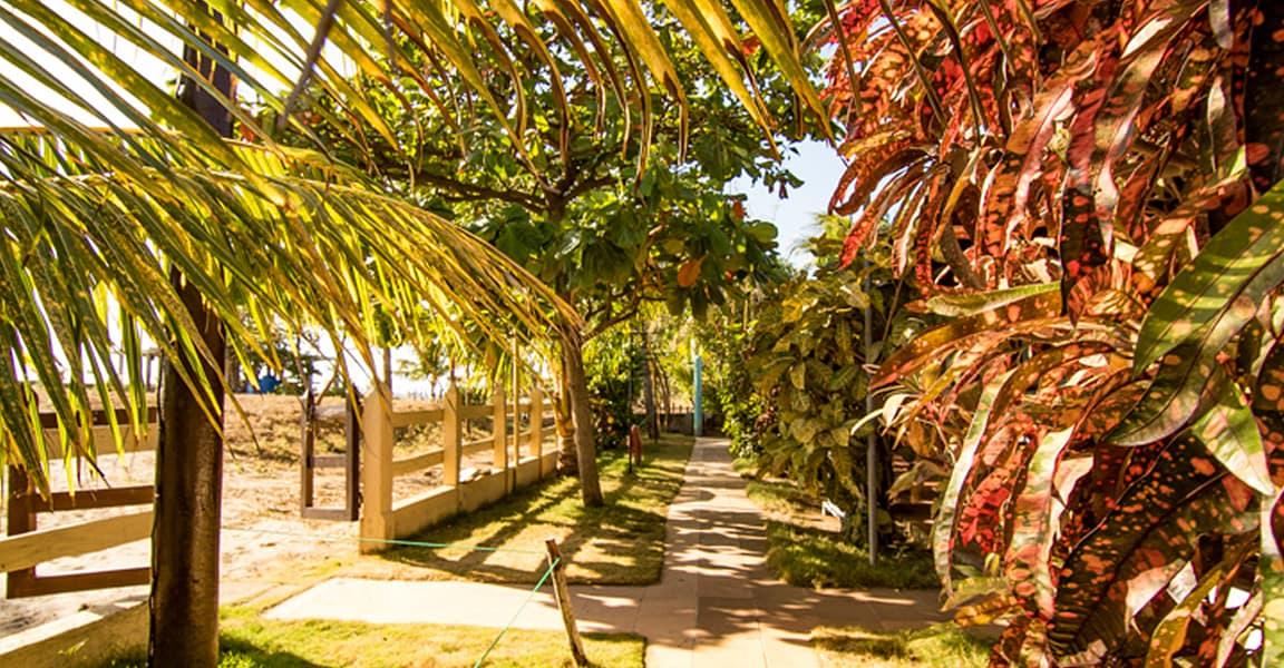 6-Room Beachfront Hotel for Sale, Popoyo, Rivas, Nicaragua — photo 5