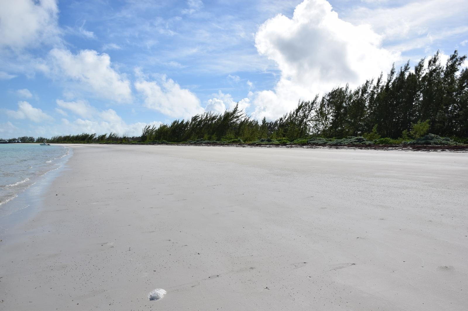 20 Acres Kemps Bay, Beachfront Acreage - MLS 68729 — photo 2