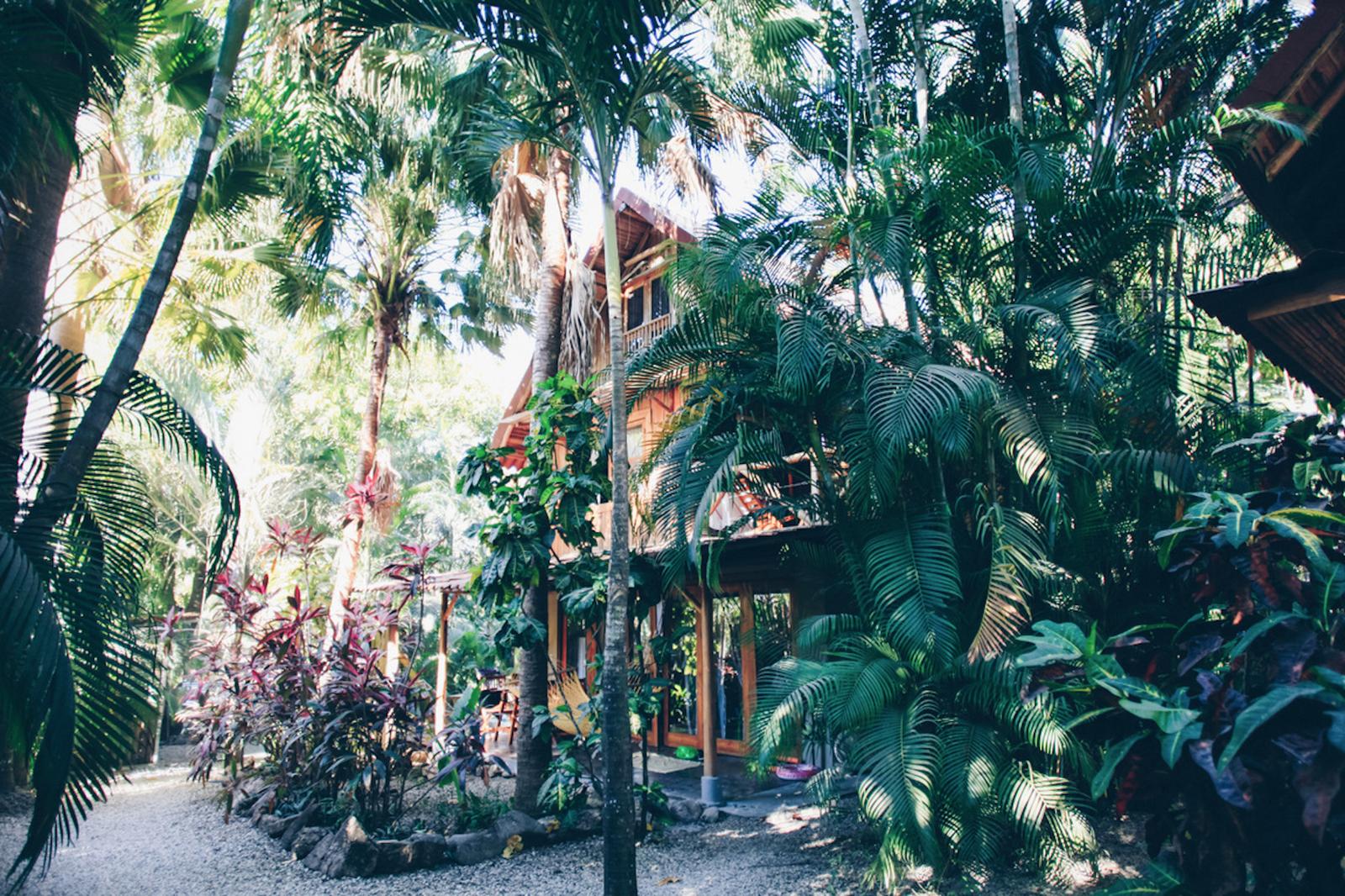 Boho Surf Hotel for Sale, Santa Teresa, Puntarenas, Costa Rica — photo 3