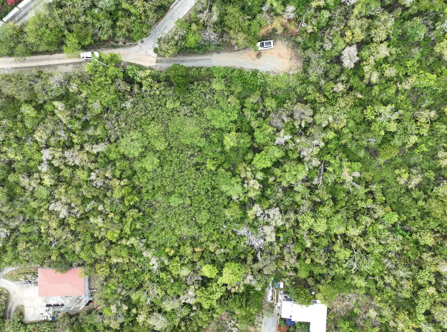 0.58 Acre Lot in Chocolate Hole, US Virgin Islands — photo 5