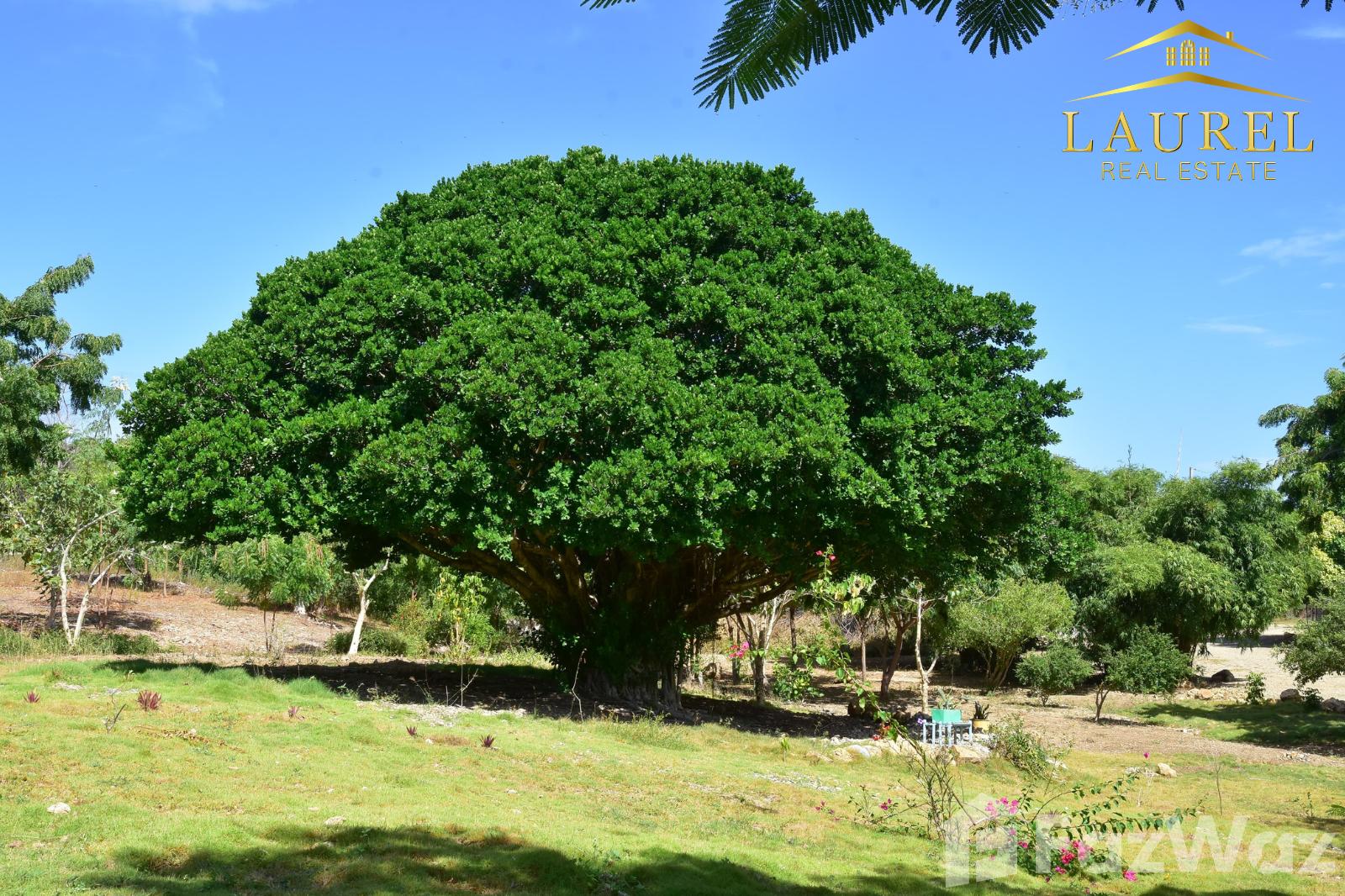 11 Bedroom Villa for Sale in La Isabela, Puerto Plata — photo 5