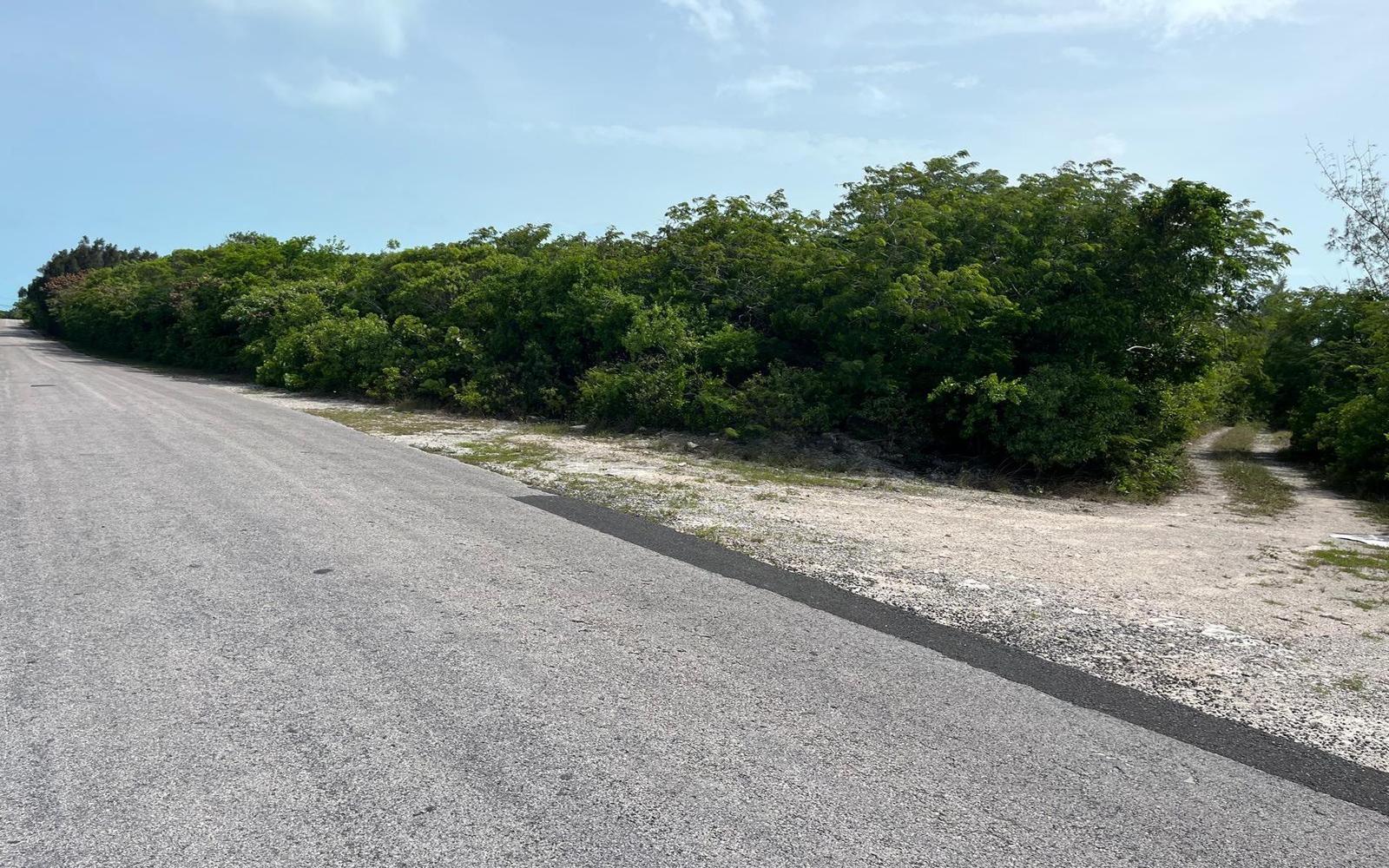 LOT A4, BUNCHES — photo 5