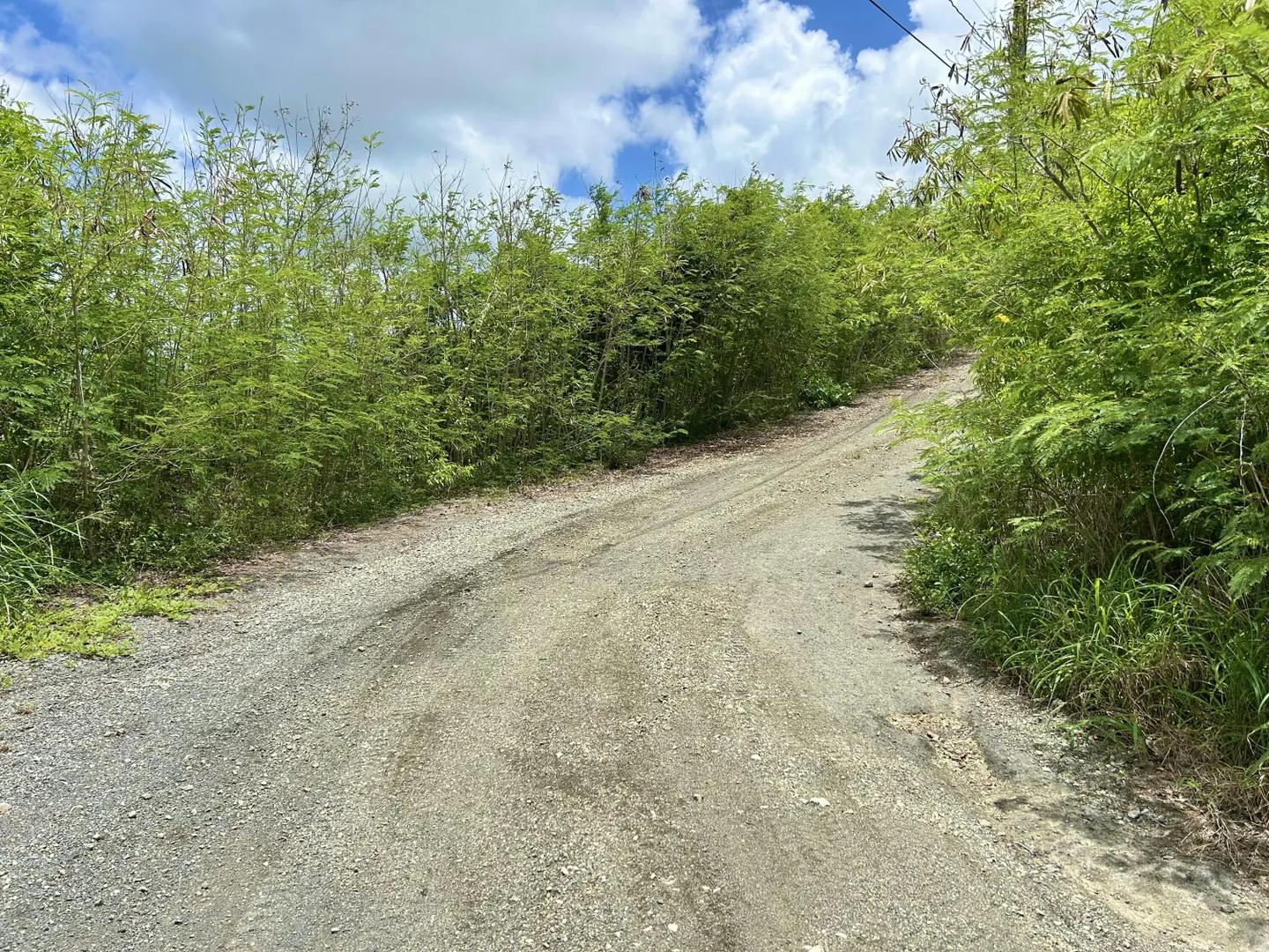 0.97 Acre Homesite in Reflection Bay, St. Croix — photo 3