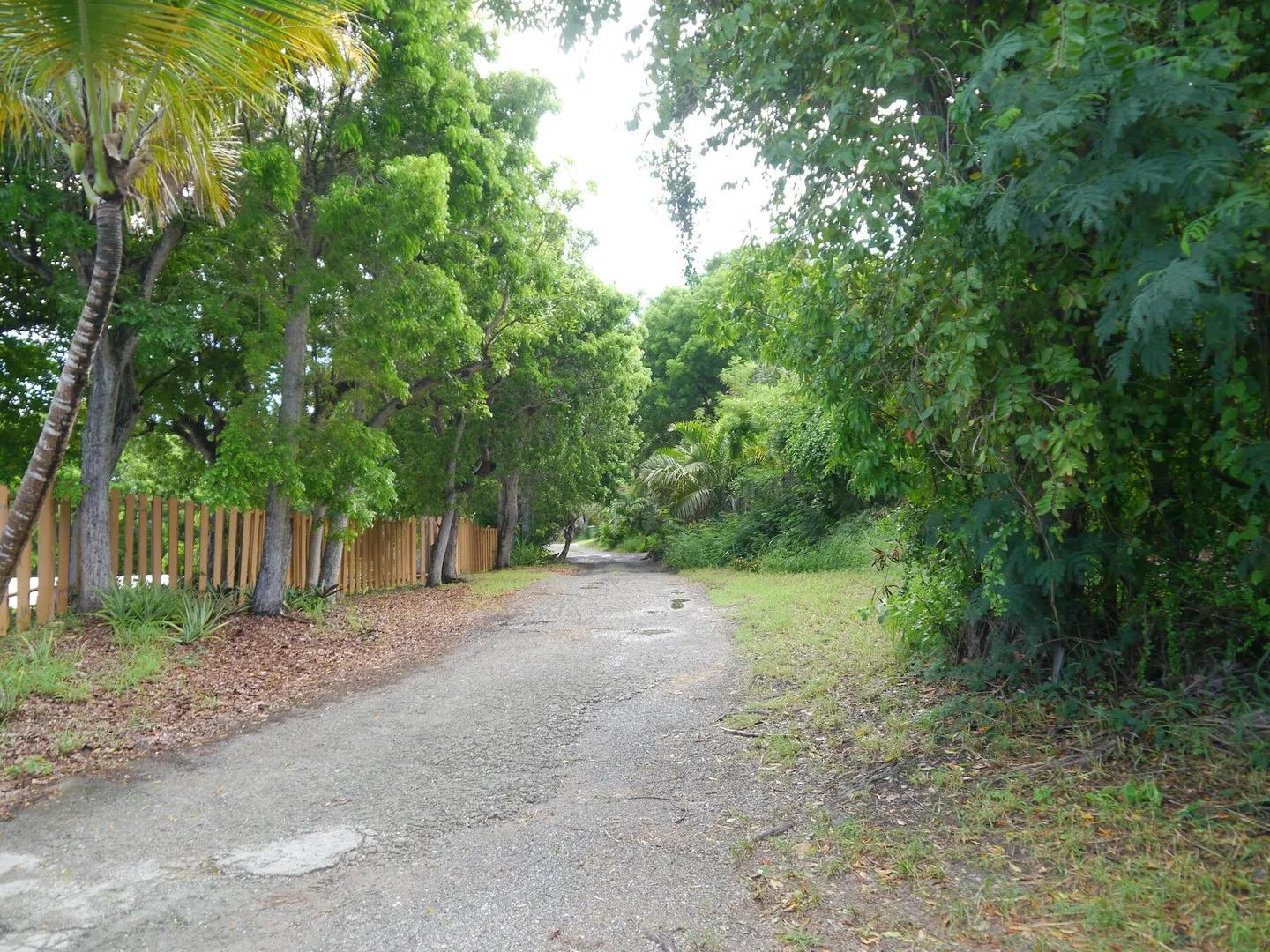 11a Little Princesse Co Homesite — photo 3