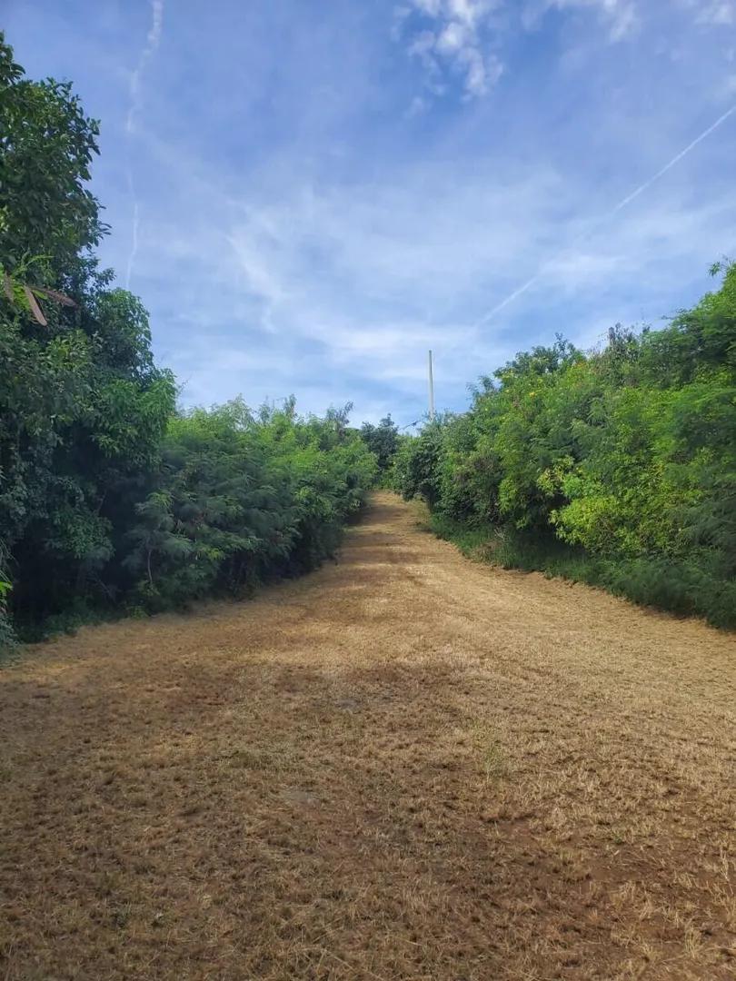 5.23 Acre Lot - Salt River, St. Croix — photo 2