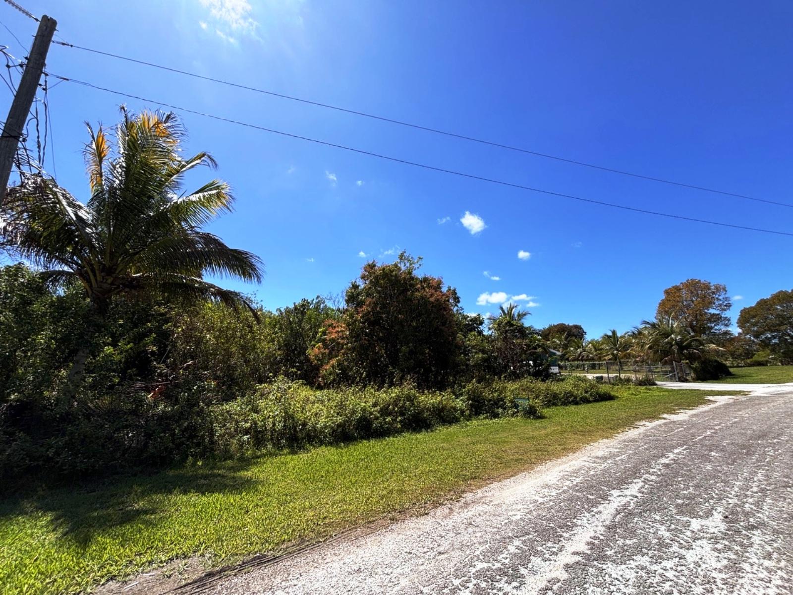 Vacant Land for Sale - Greening Glade, Bahamas — photo 5