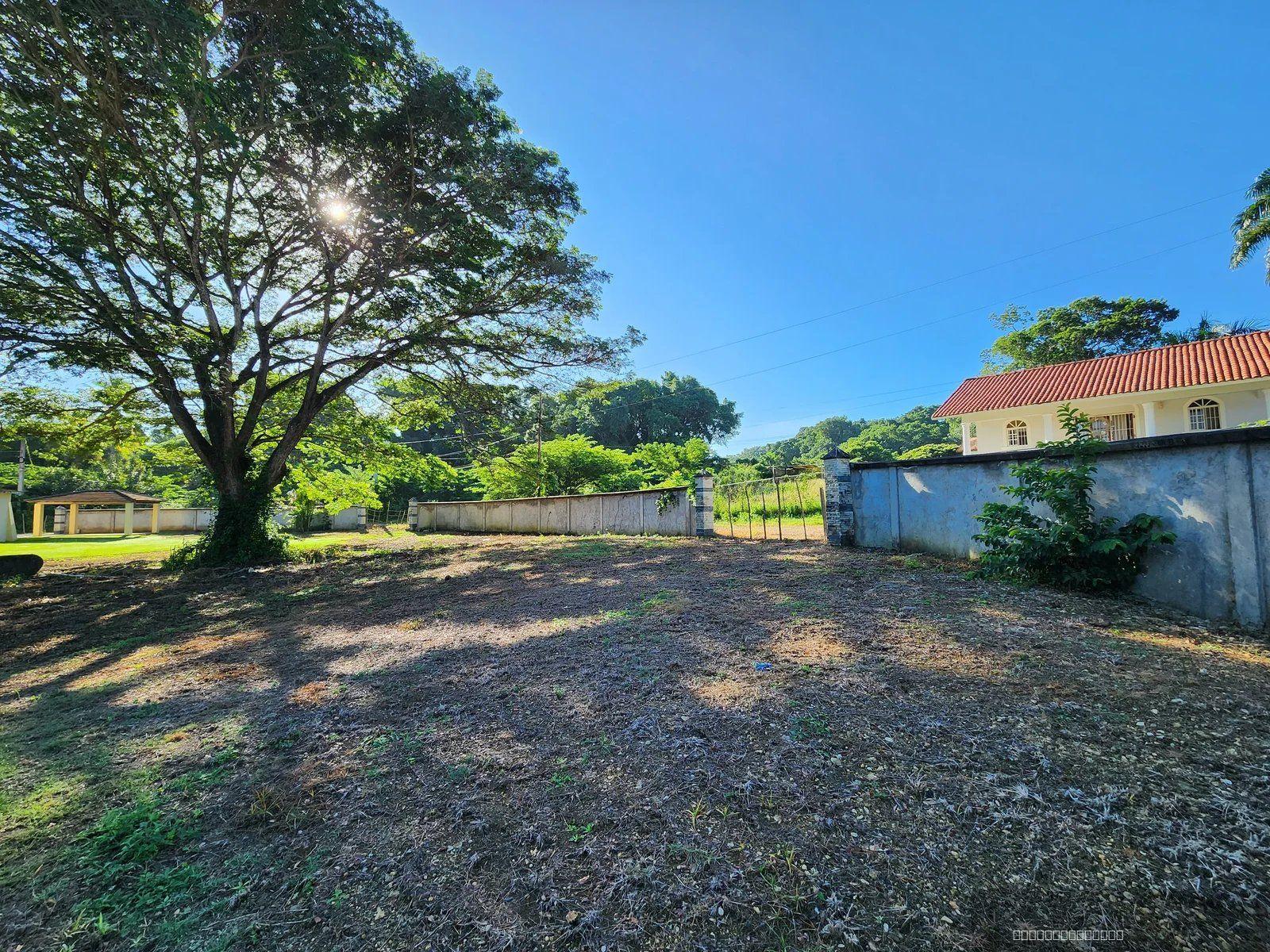 Prime Flat Lot for Sale in La Mulata, Sosúa — photo 3