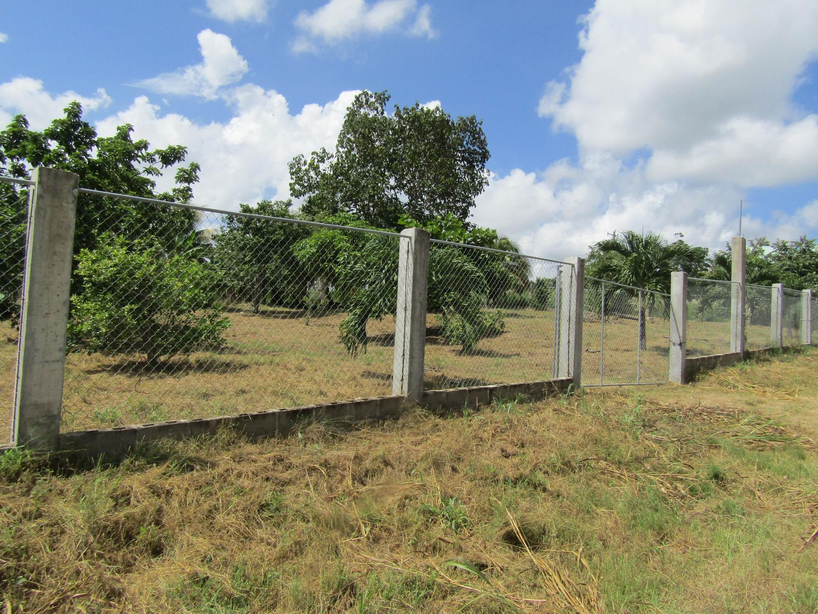 #2503 – A VERY LARGE RESIDENTIAL LOT IN SAN IGNACIO — photo 1