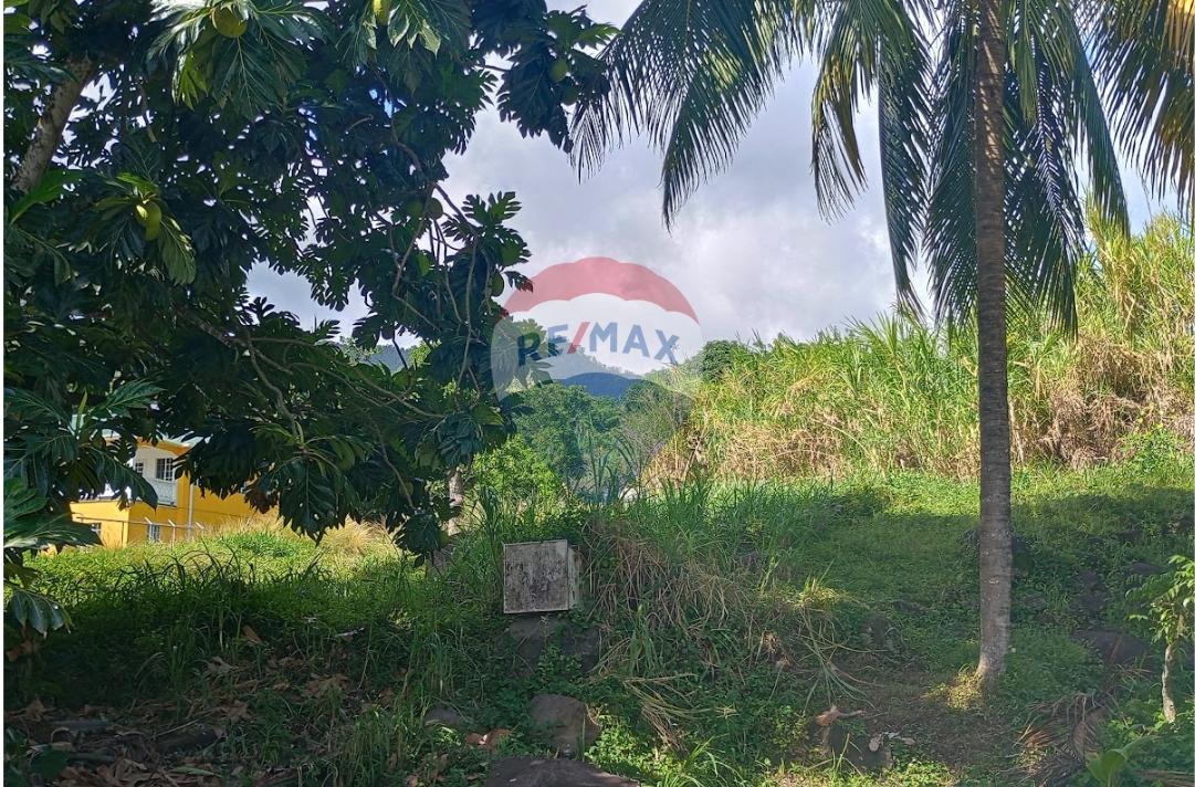 Investment Opportunity: Residential Lot in Layou, St. Vincent — photo 1