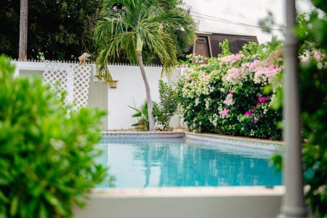 2 bedroom holiday villa for rent in Bottelier, Curaçao — photo 3