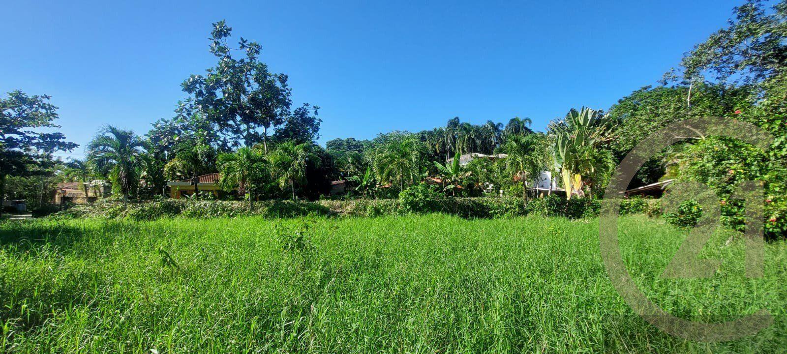Residential Lot for sale in Sabaneta de Yásica, Sosúa — photo 2