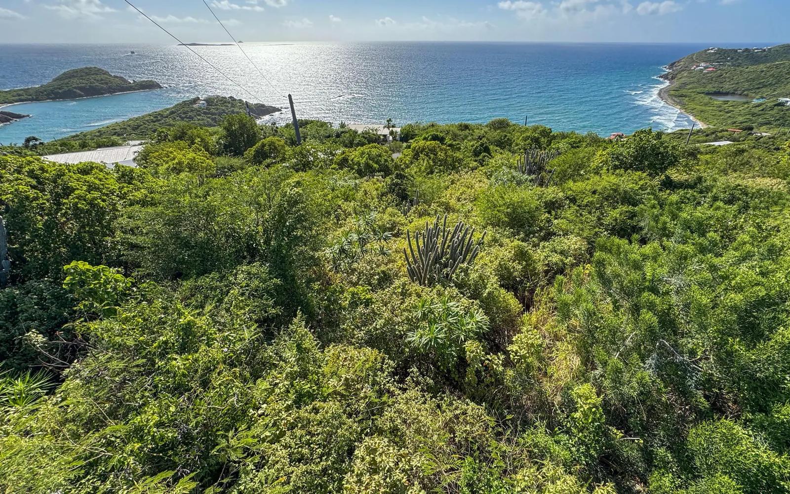 0.26 Acre Lot on Water Island — photo 2