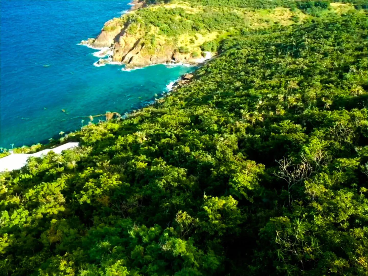 30 Acre Waterfront Lot in US Virgin Islands — photo 3