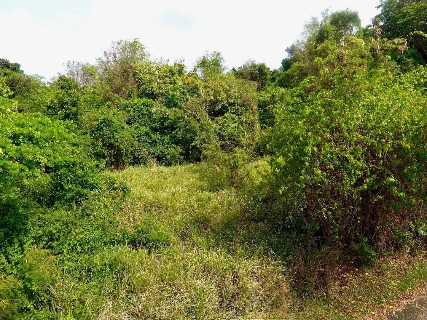 0.5 Acre Homesite Lot in Scenic Ridge, St. Croix — photo 4