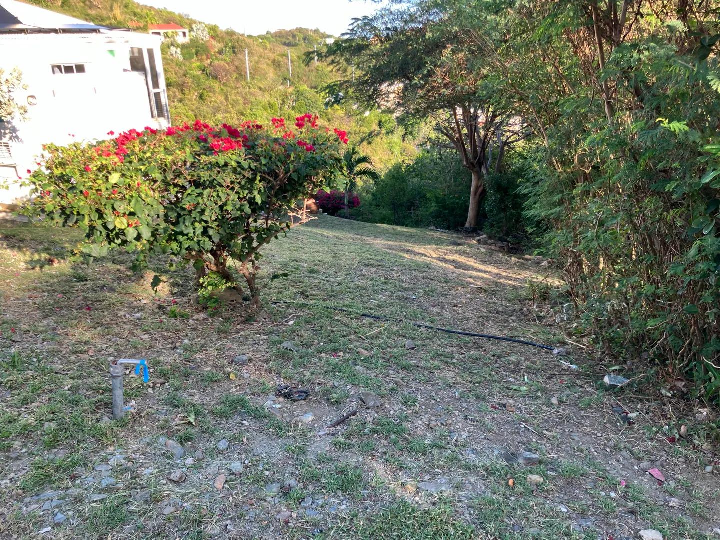 Residential Lot in Chocolate Hole, St. John — photo 4