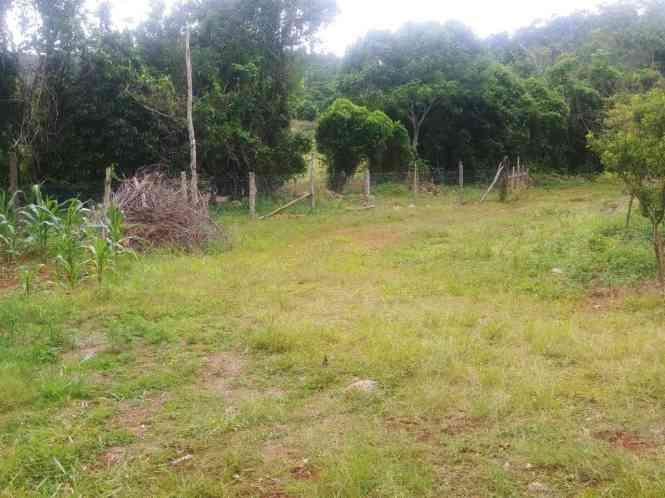 House for sale in St. D'acre, Brown's Town, St Ann, Jamaica — photo 3