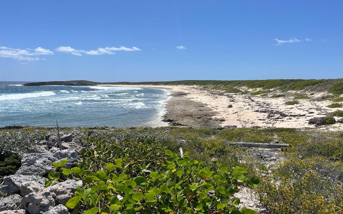150-acre beachfront development land in Roses, Long Island, Bahamas — photo 5