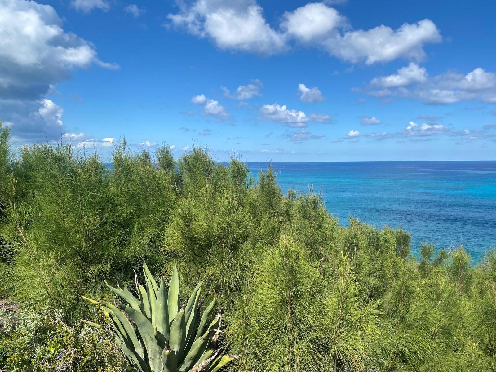 LOT 15 BLK 20 RAINBOW BAY — photo 2