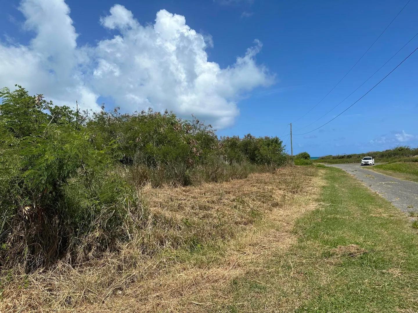 Homesite at 95 Enfield Green Pr, St. Croix — photo 4